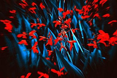 《Z字特遣队》“火力全开”版本上线，刀气导弹暴力输出！