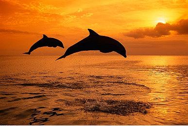 《传说法师2》确定10月3日开启Steam抢先体验